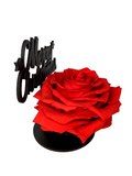MERRY CHRISTMAS stand with RED FOREVER ROSE