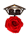 NATIVITY stand with RED FOREVER ROSE