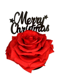 MERRY CHRISTMAS stand with RED FOREVER ROSE
