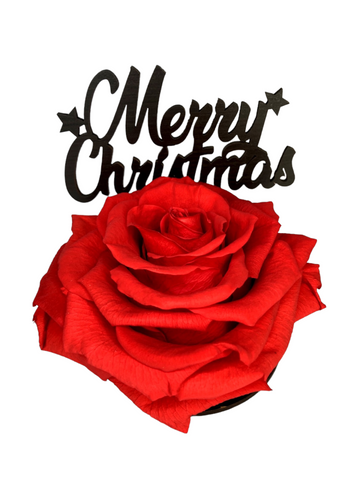 MERRY CHRISTMAS stand with RED FOREVER ROSE