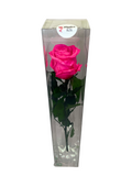 Long Stemmed HOT PINK FOREVER ROSE