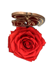 ELEGANT NATIVITY stand with RED FOREVER ROSE