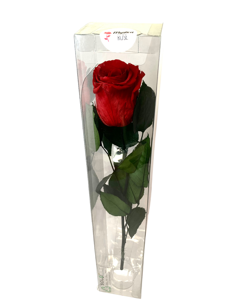 Long Stemmed SINGLE FOREVER ROSE – Mystica Rose