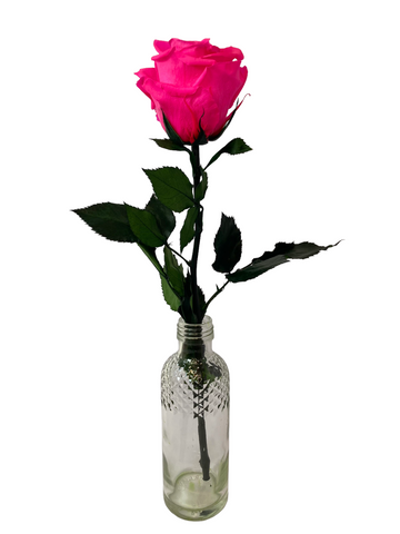 Long Stemmed HOT PINK FOREVER ROSE