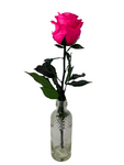 Long Stemmed HOT PINK FOREVER ROSE