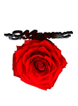 MERRY CHRISTMAS stand with RED FOREVER ROSE